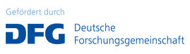 13-00_Logo_dfg_schriftzug_blau_foerderung_4c